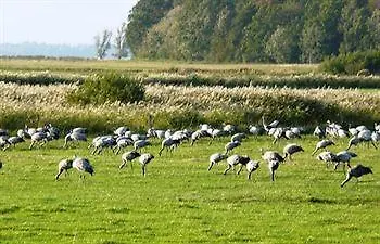 Szálloda Carmina Am Karnin (Mecklenburg-Vorpommern)